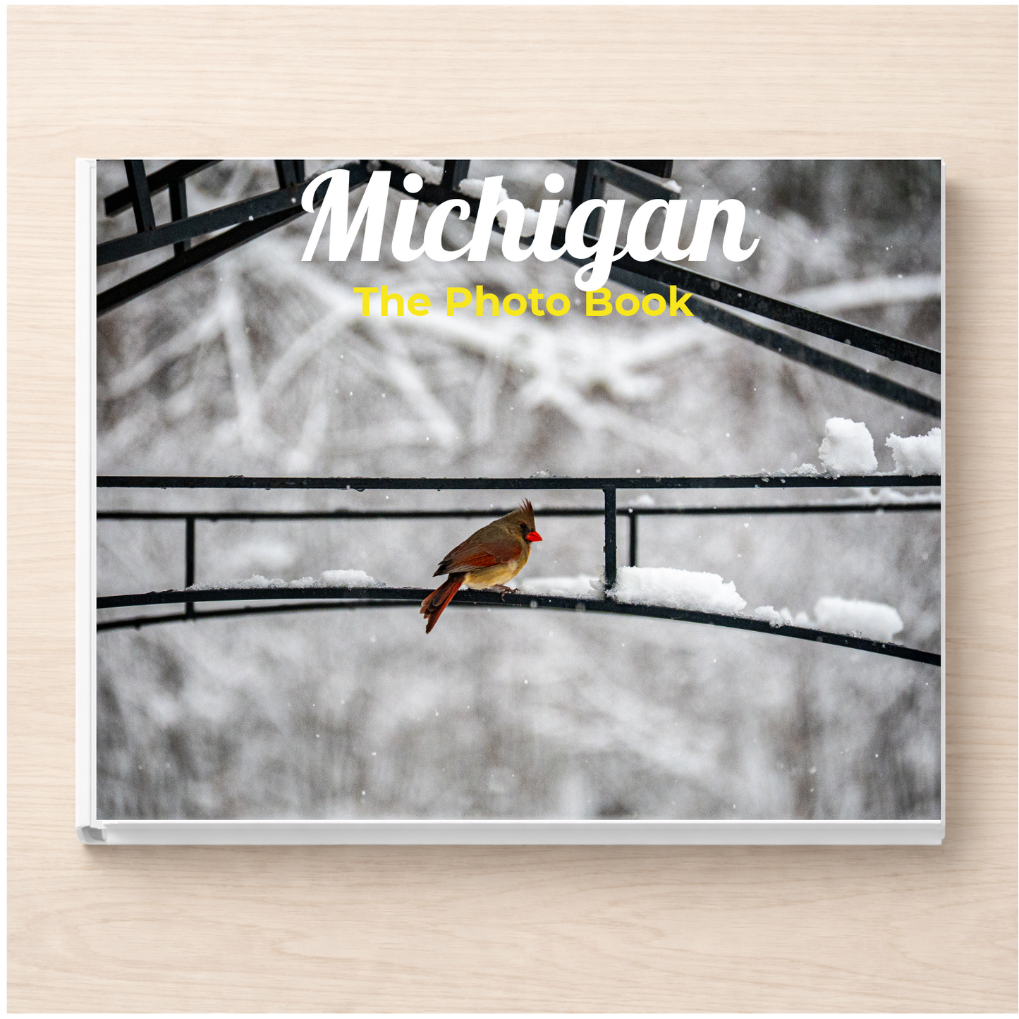 Michigan: The Photo Book