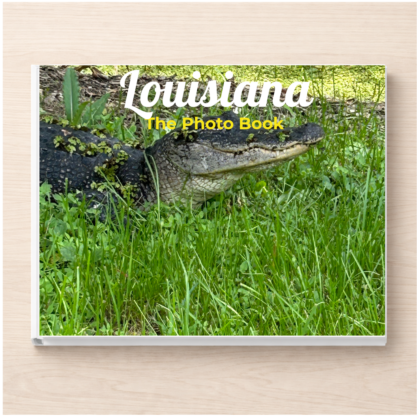 Louisiana: The Photo Book