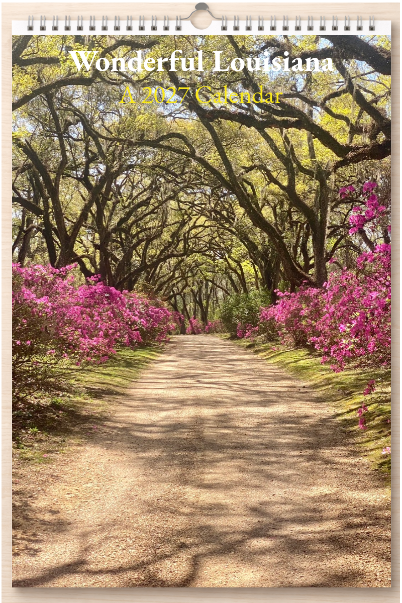 Wonderful Louisiana: A 2027 Calendar