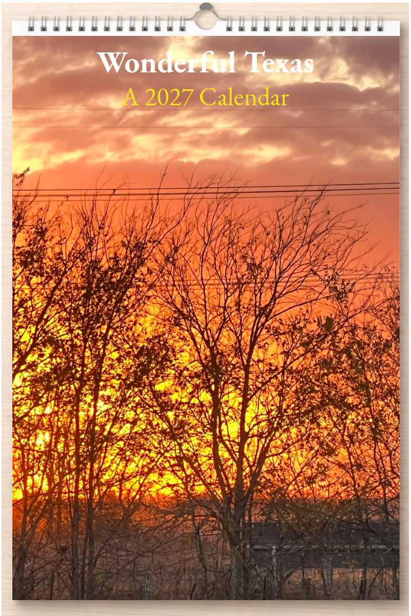 Wonderful Texas: A 2027 Calendar