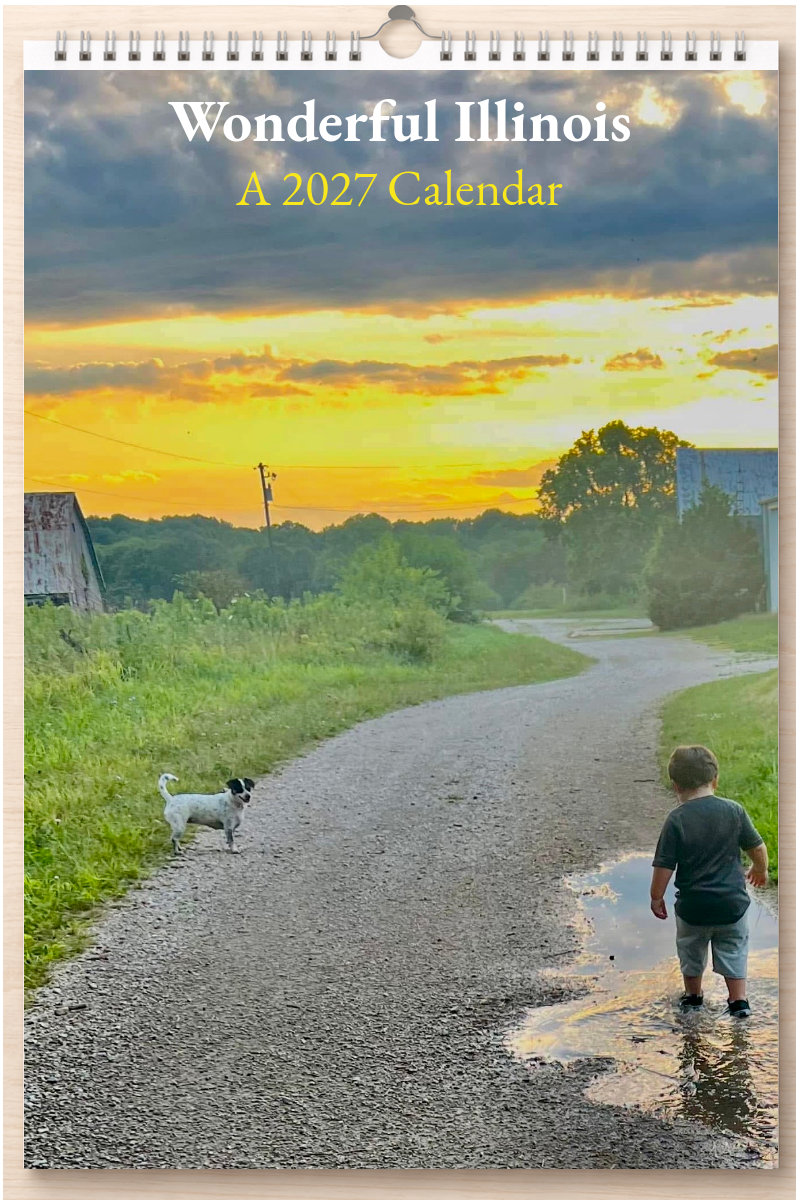 Wonderful Illinois: A 2027 Calendar