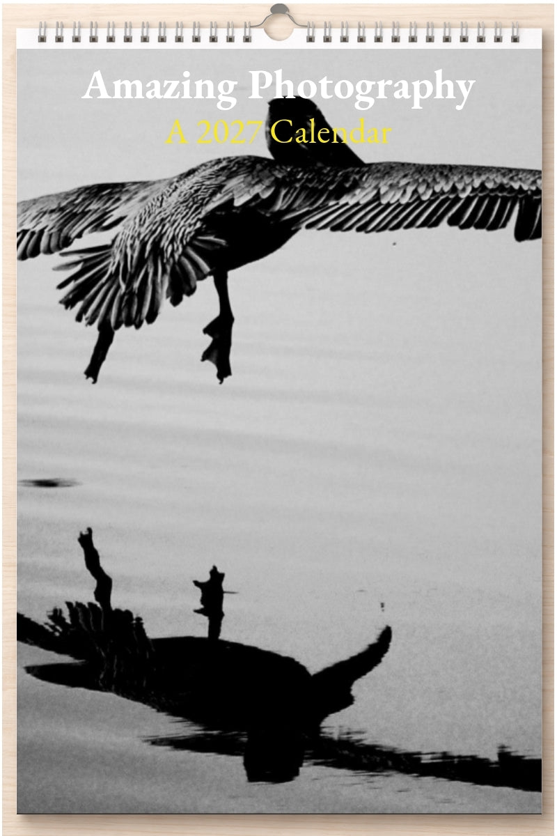 Amazing Photography: A 2027 Calendar