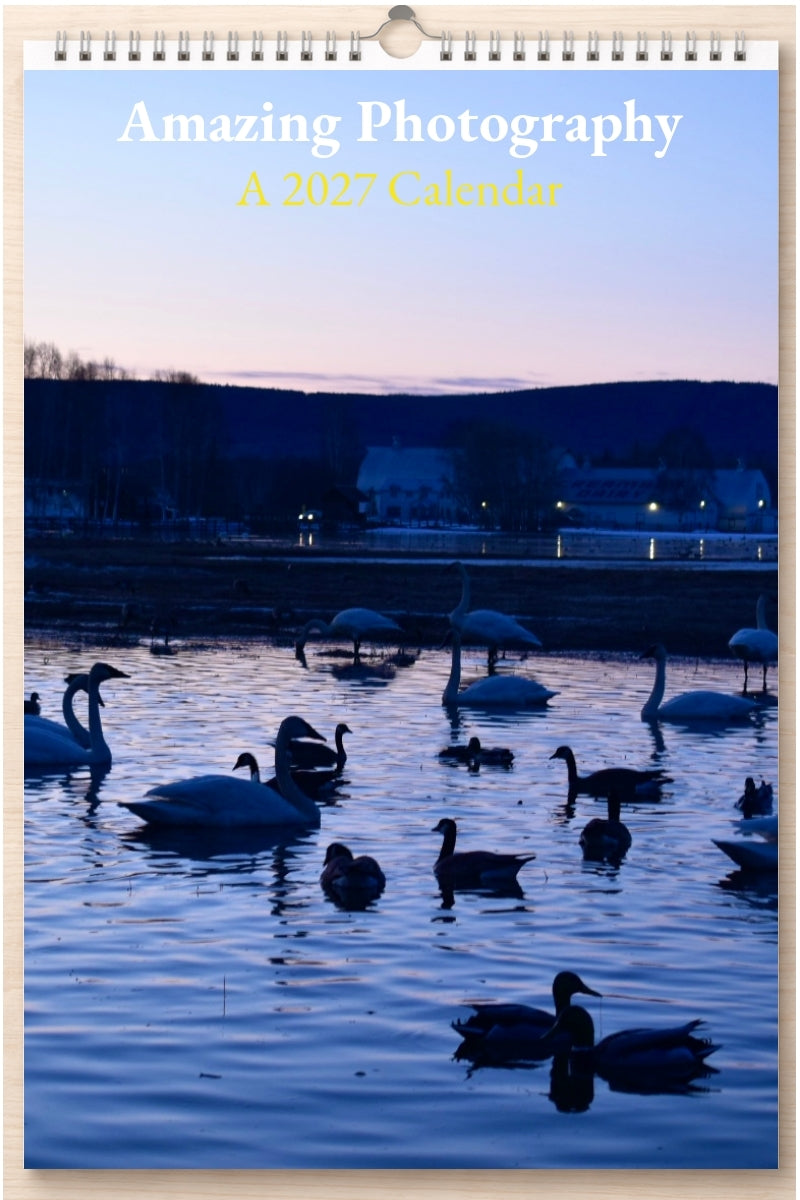 Amazing Photography: A 2027 Calendar