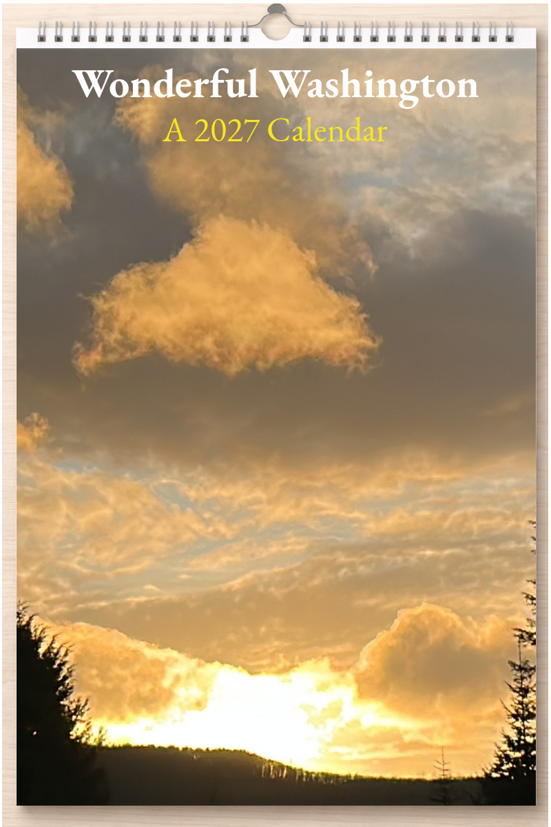Wonderful Washington: A 2027 Calendar