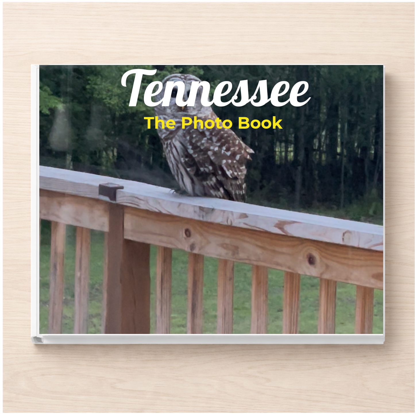 Tennessee: The Photo Book