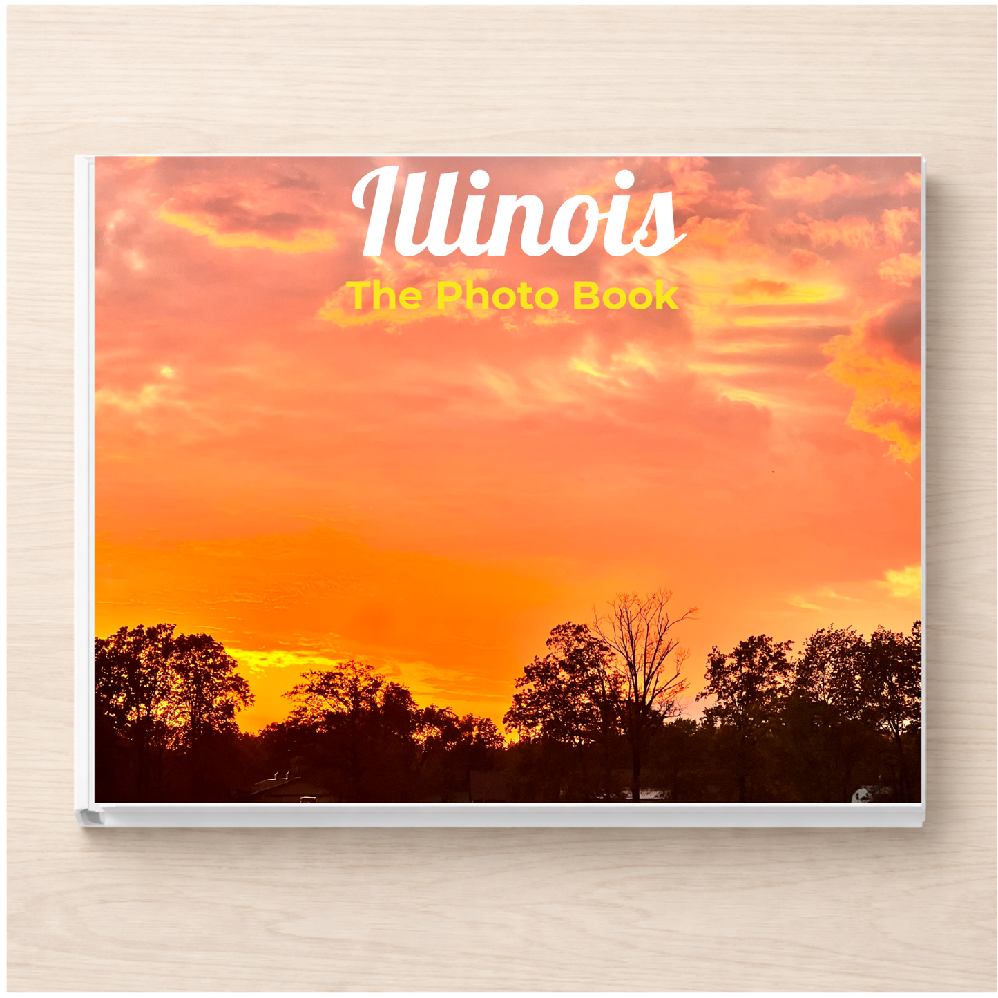 Illinois: The Photo Book