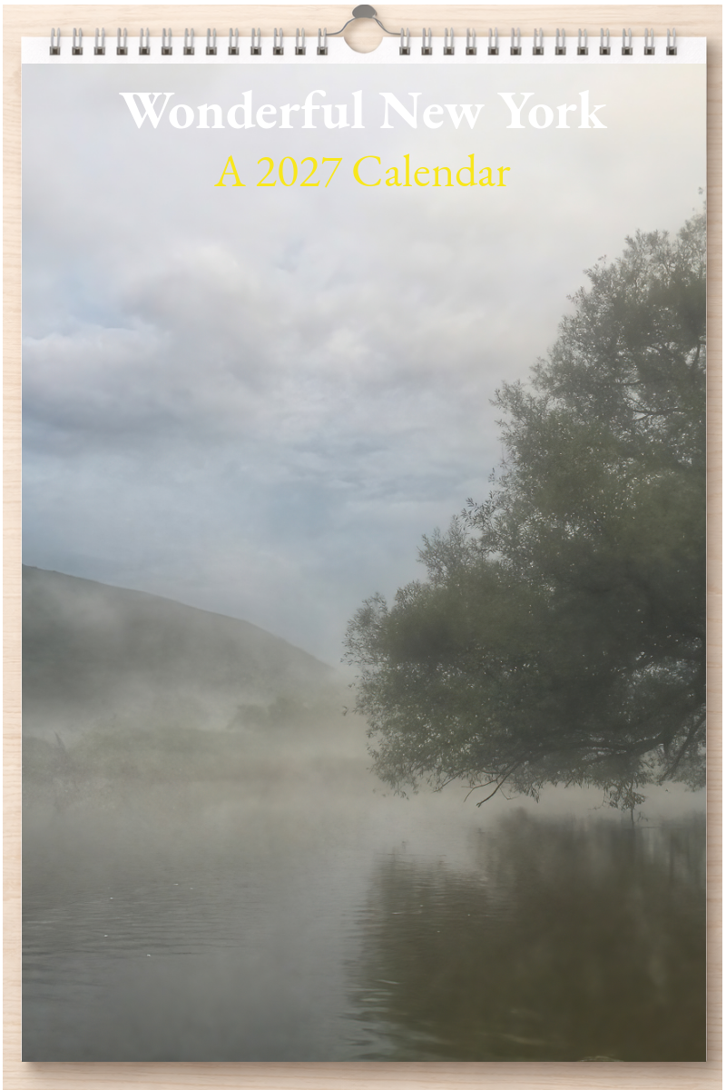 Wonderful New York: A 2027 Calendar