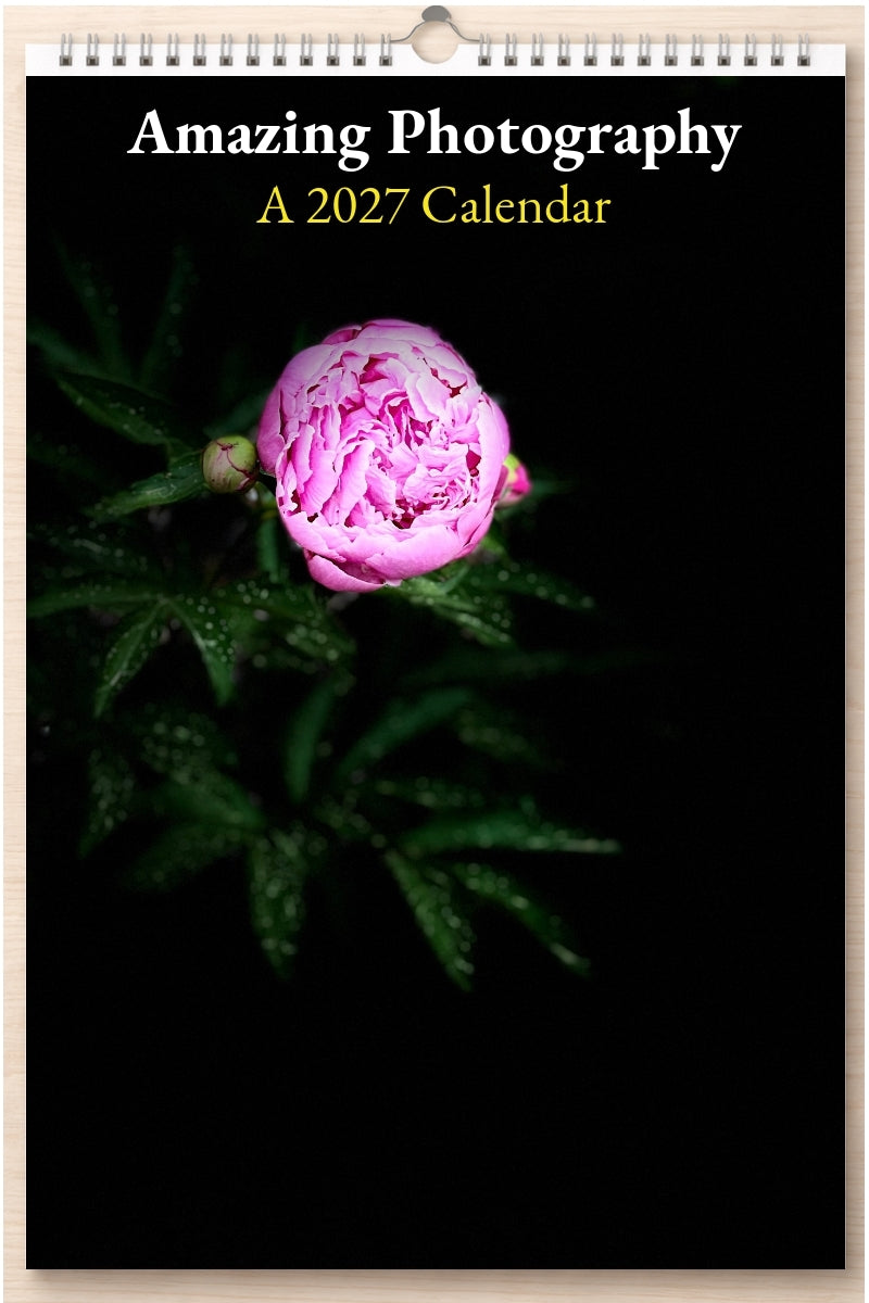 Amazing Photography: A 2027 Calendar