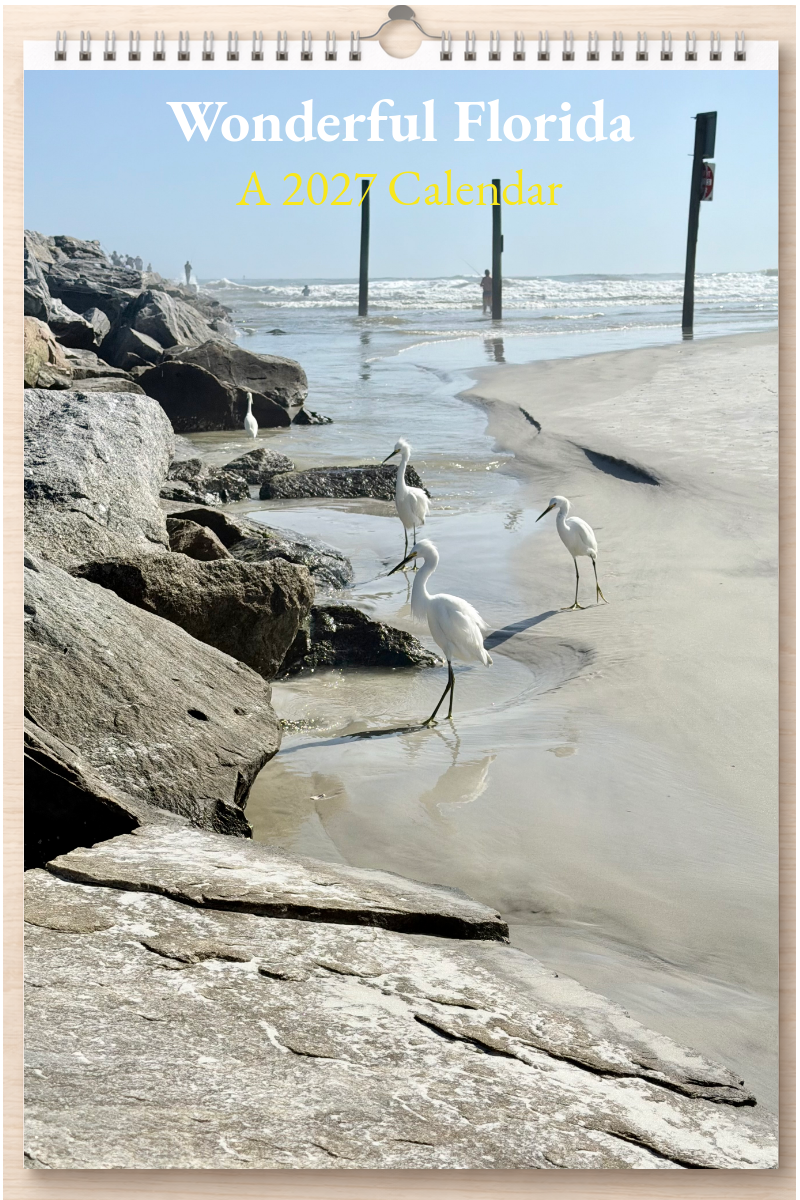 Wonderful Florida: A 2027 Calendar