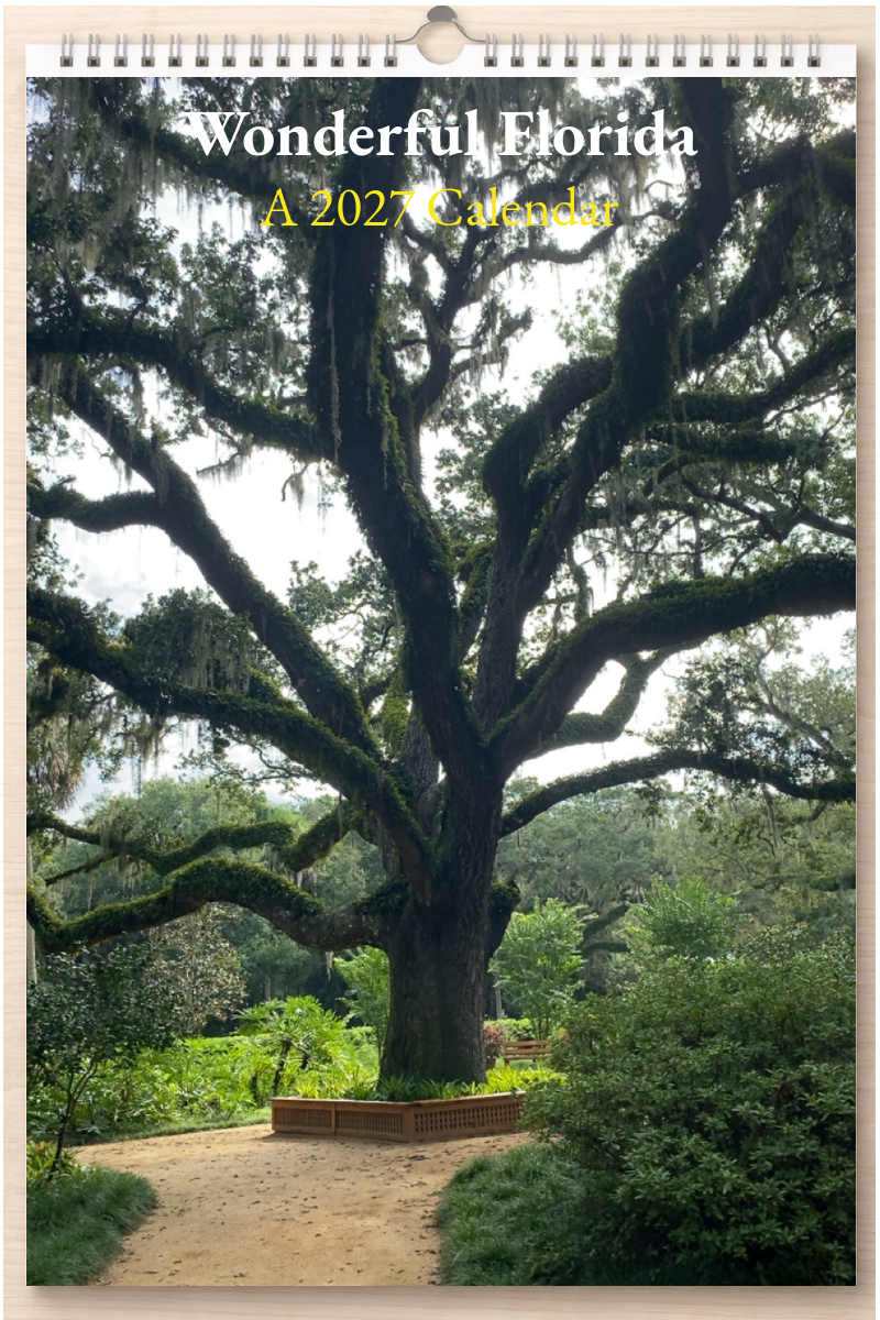 Wonderful Florida: A 2027 Calendar