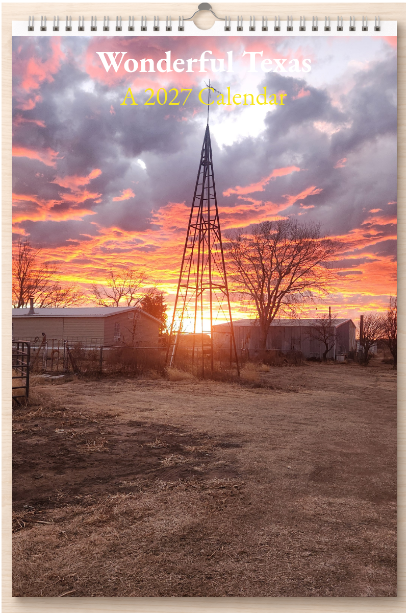 Wonderful Texas: A 2027 Calendar
