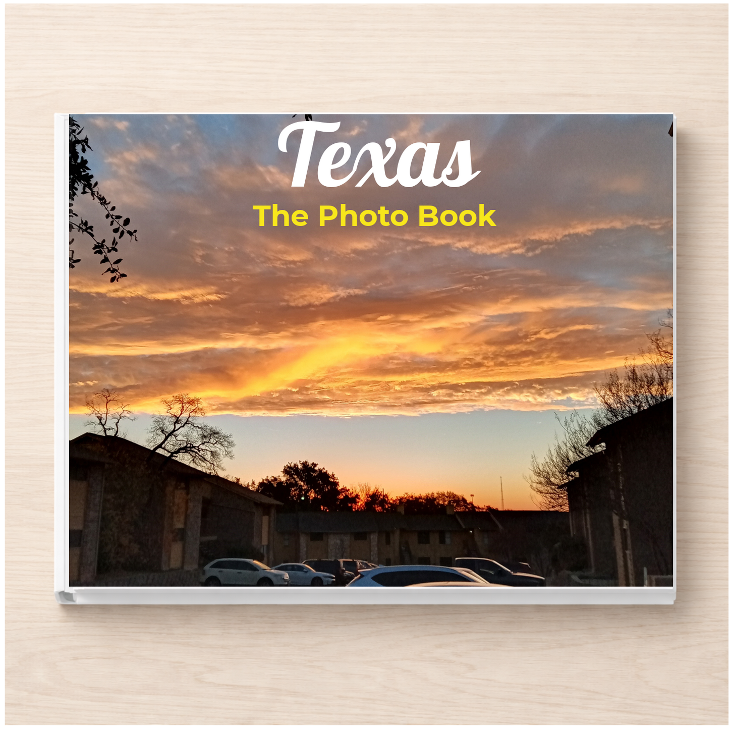 Texas: The Photo Book