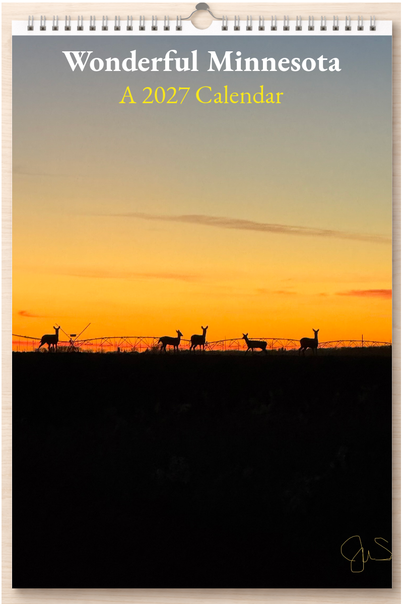 Wonderful Minnesota: A 2027 Calendar