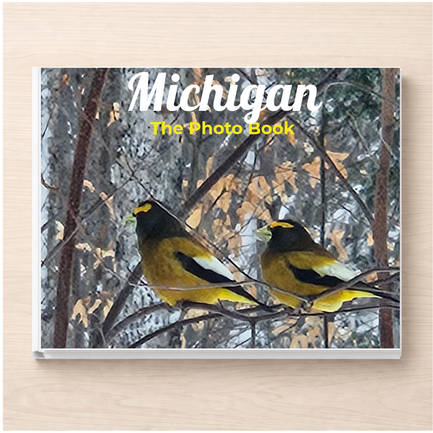 Michigan: The Photo Book