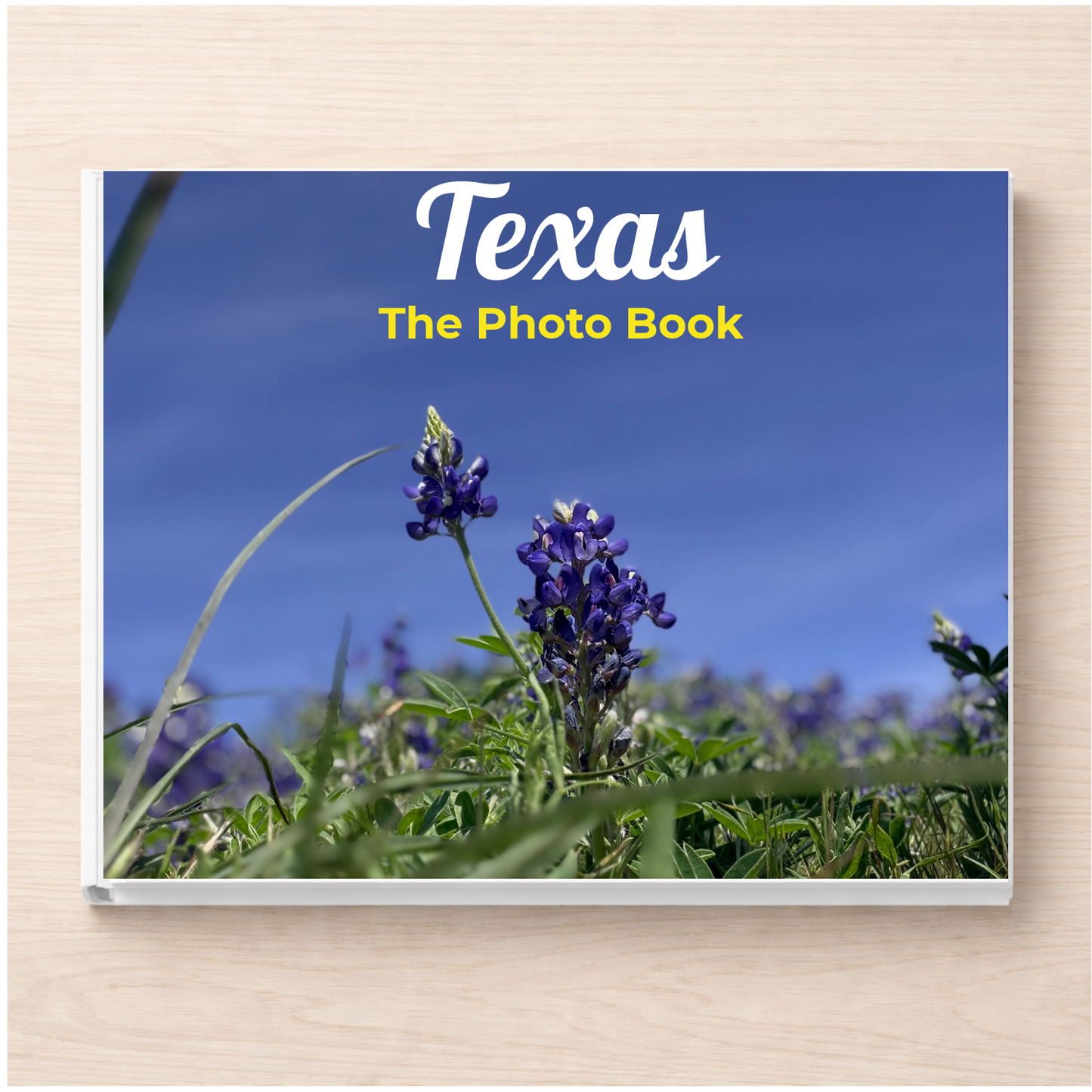Texas: The Photo Book