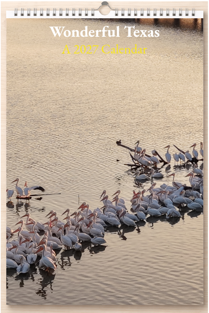 Wonderful Texas: A 2027 Calendar