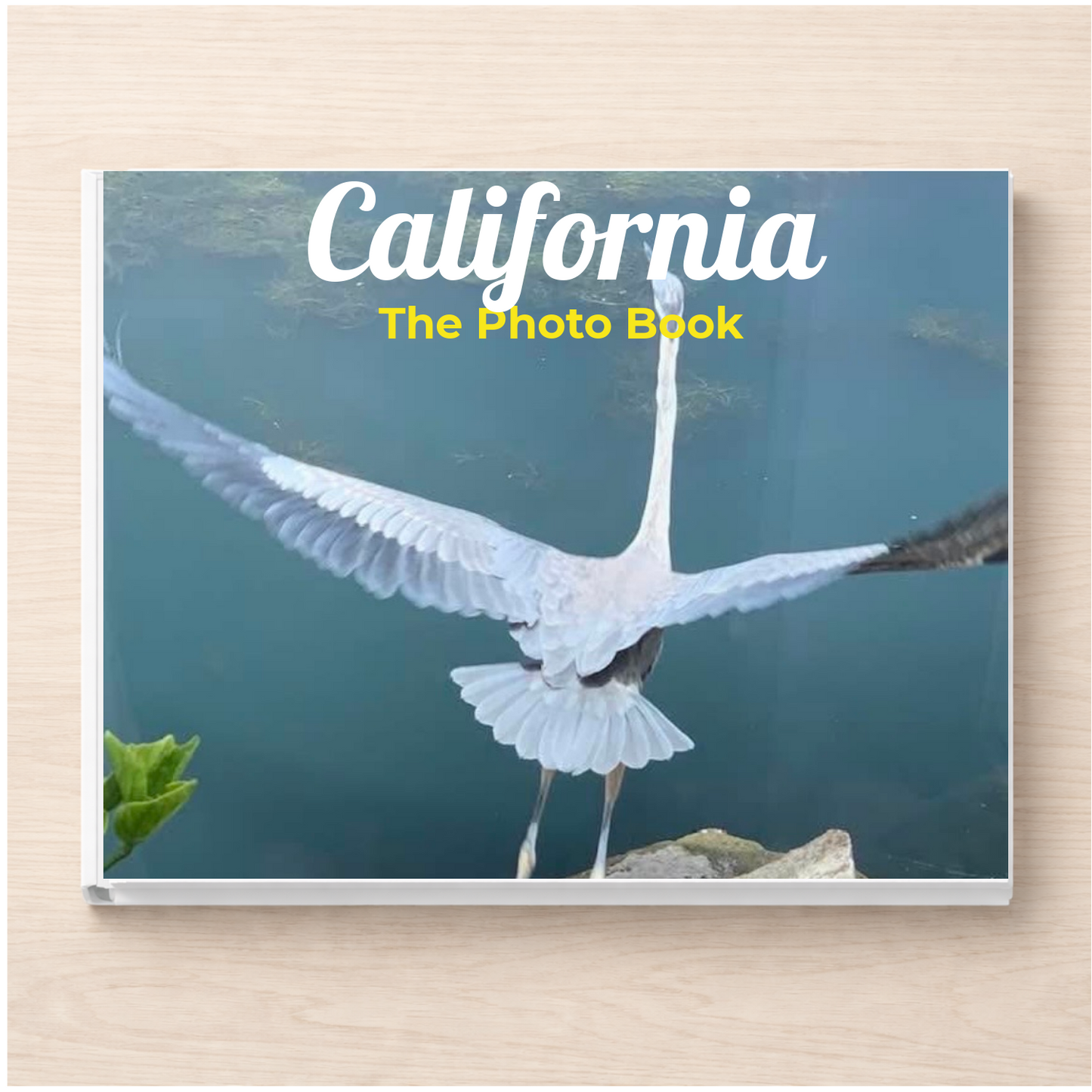 California: The Photo Book