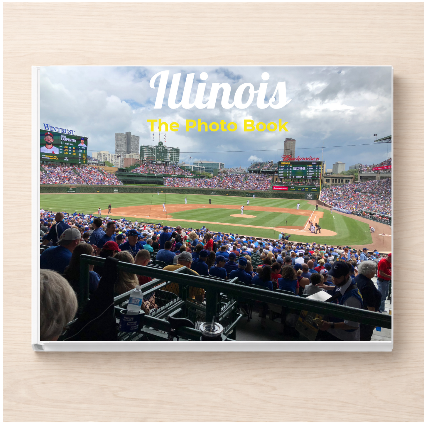 Illinois: The Photo Book