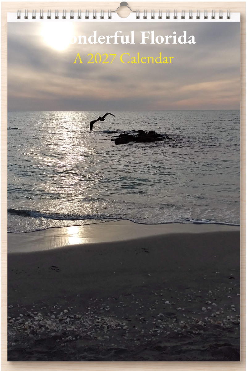 Wonderful Florida: A 2027 Calendar