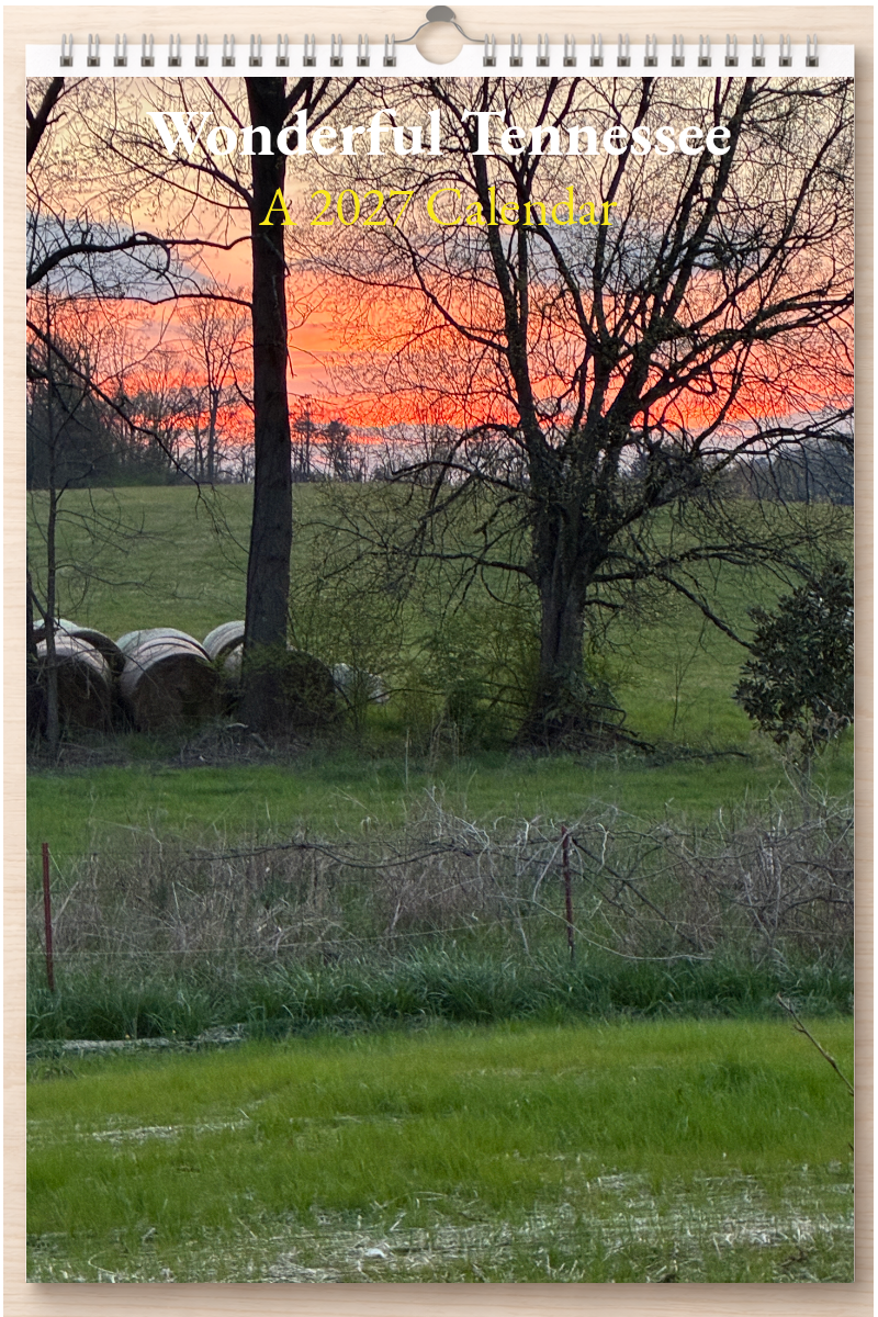 Wonderful Tennessee: A 2027 Calendar