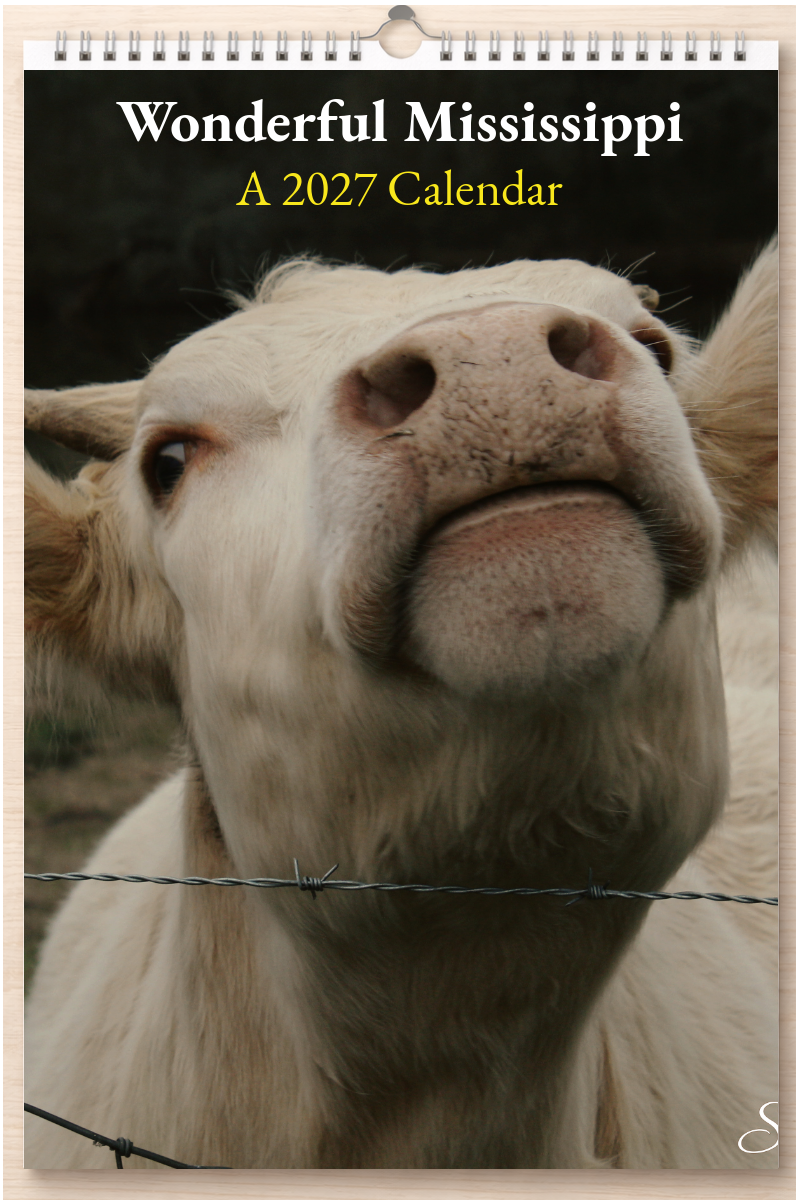 Wonderful Mississippi: A 2027 Calendar