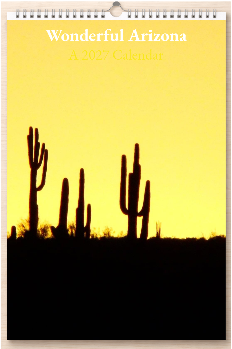Wonderful Arizona: A 2027 Calendar