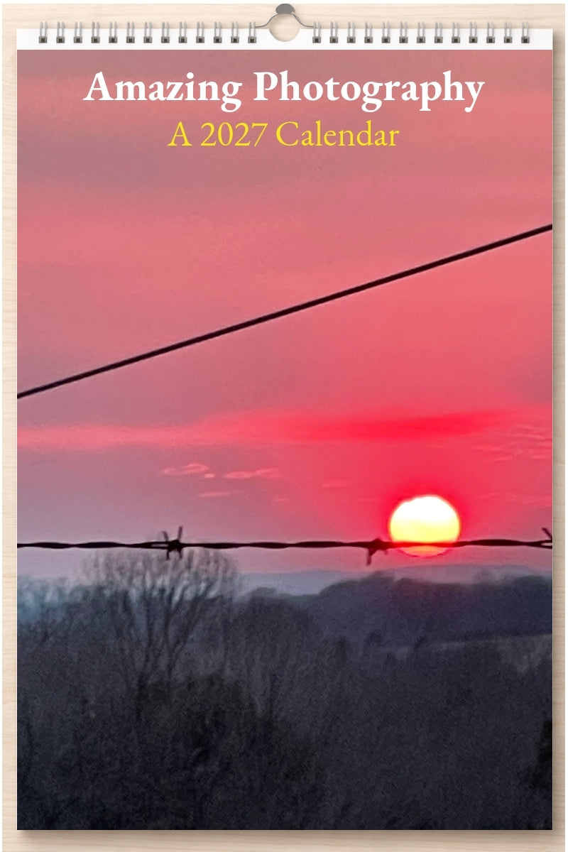 Amazing Photography: A 2027 Calendar