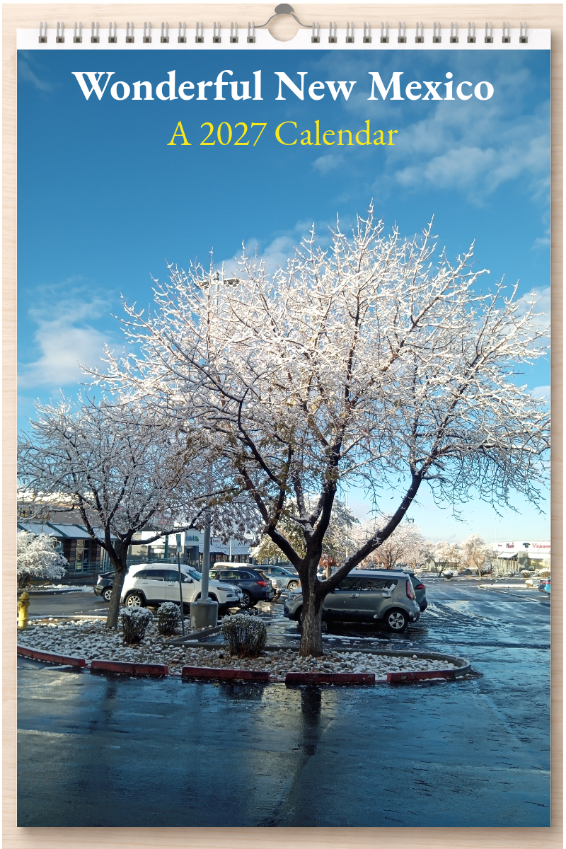 Wonderful New Mexico: A 2027 Calendar