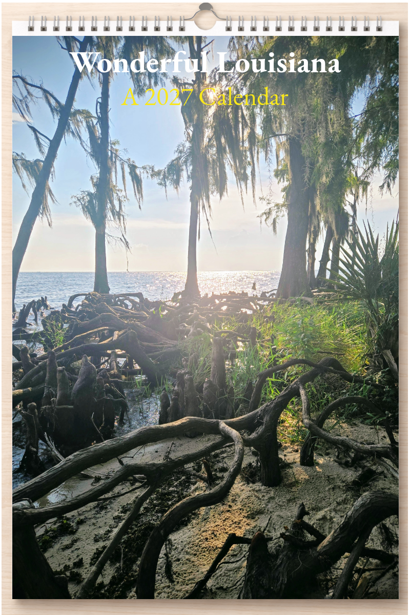 Wonderful Louisiana: A 2027 Calendar