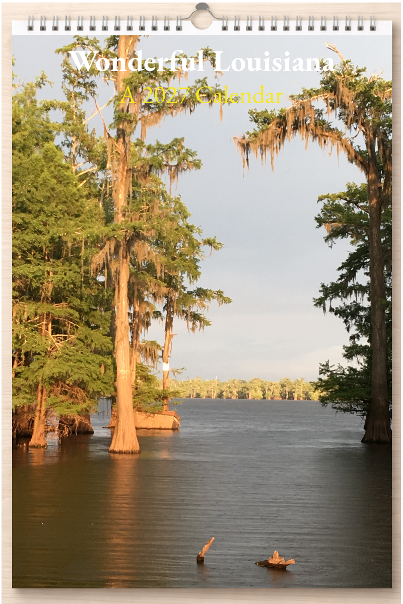 Wonderful Louisiana: A 2027 Calendar