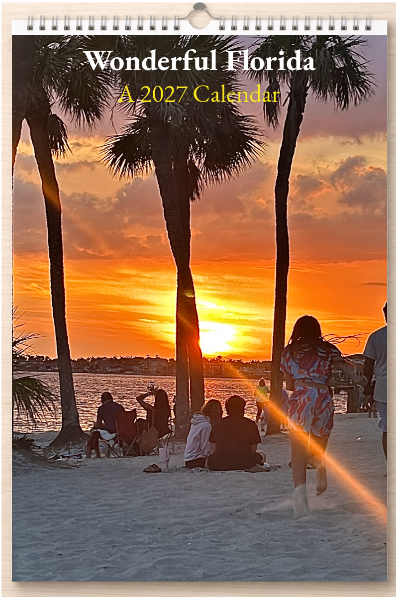 Wonderful Florida: A 2027 Calendar