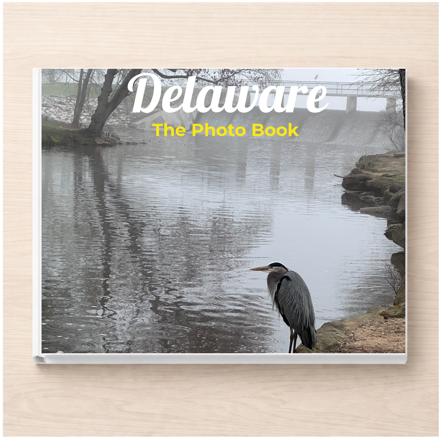 Delaware: The Photo Book