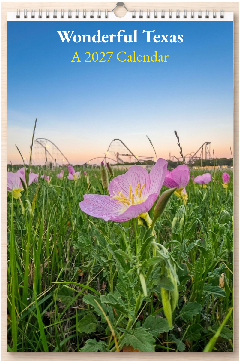 Wonderful Texas: A 2027 Calendar