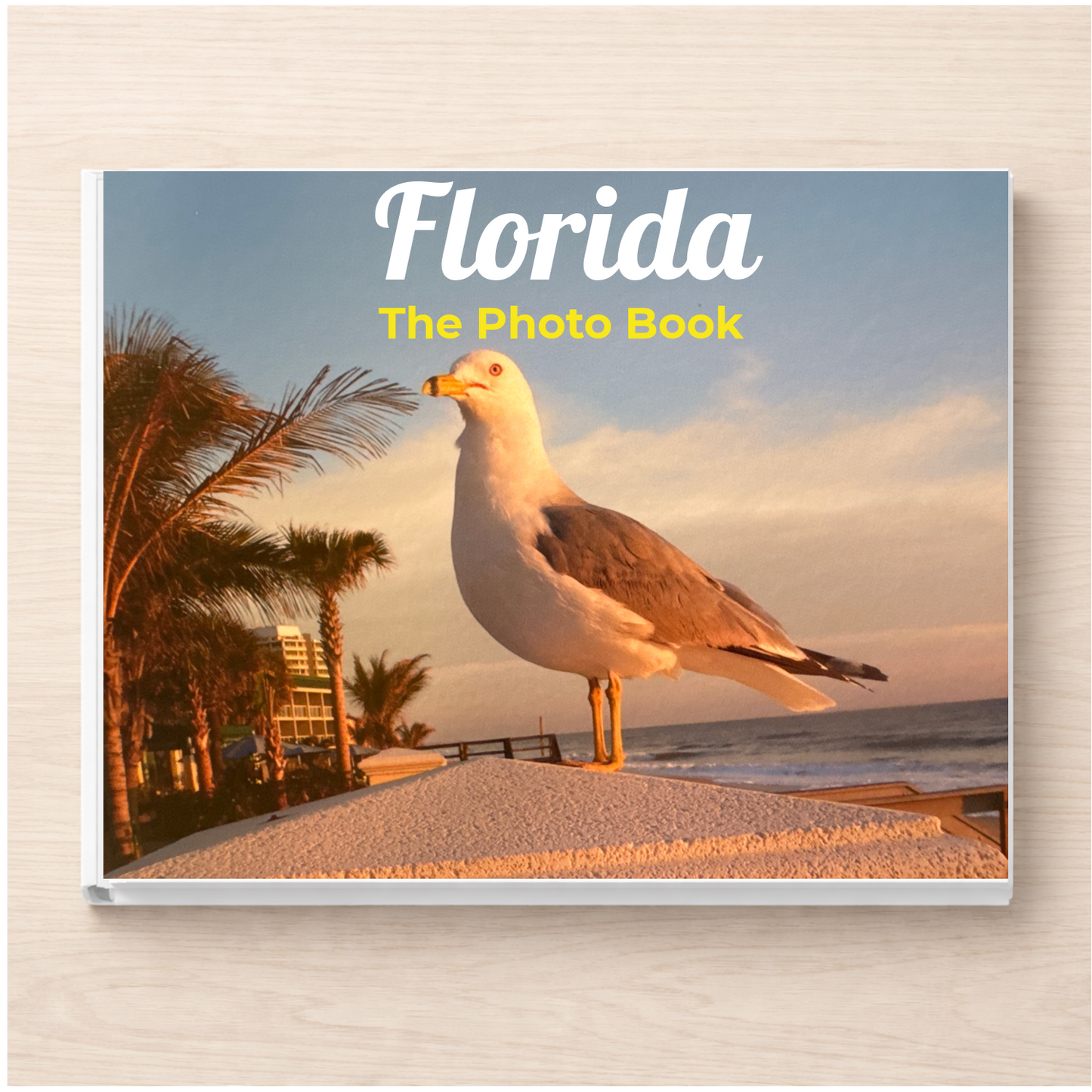 Florida: The Photo Book
