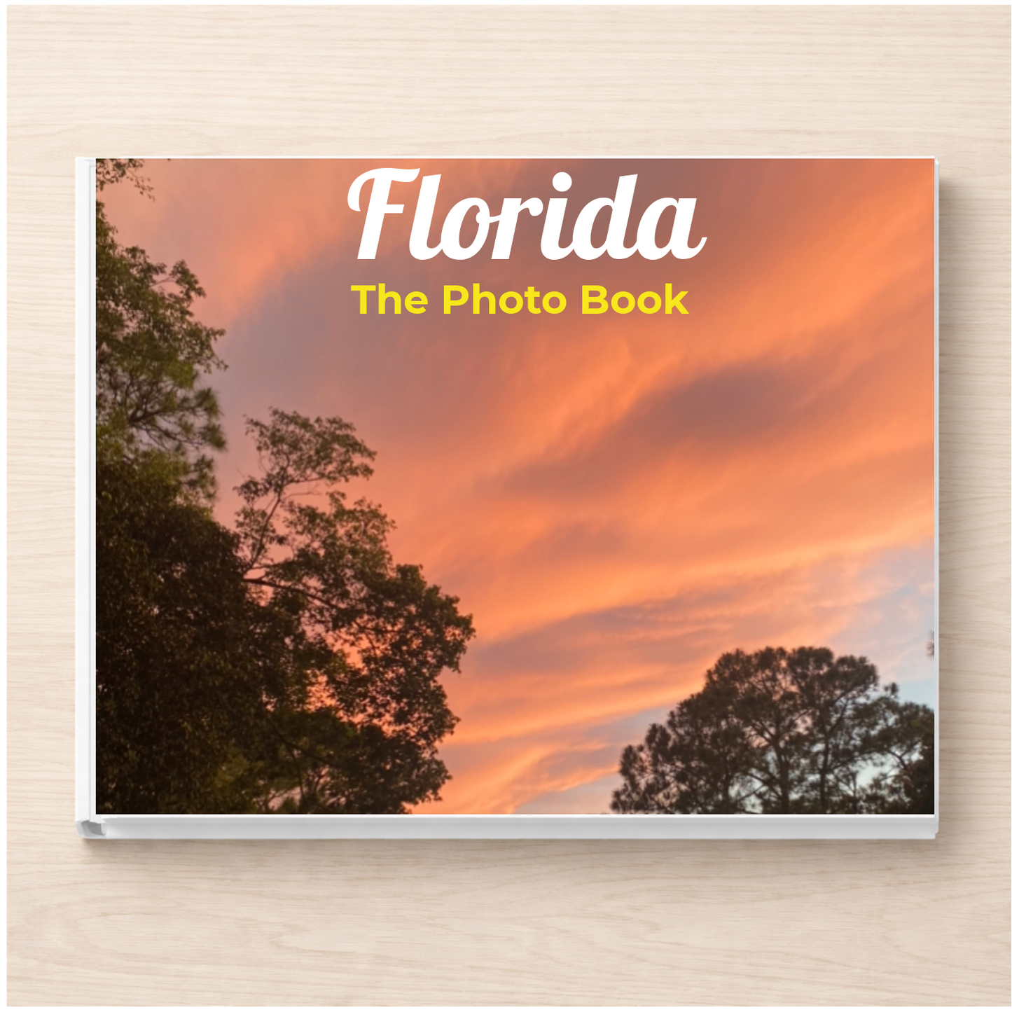 Florida: The Photo Book