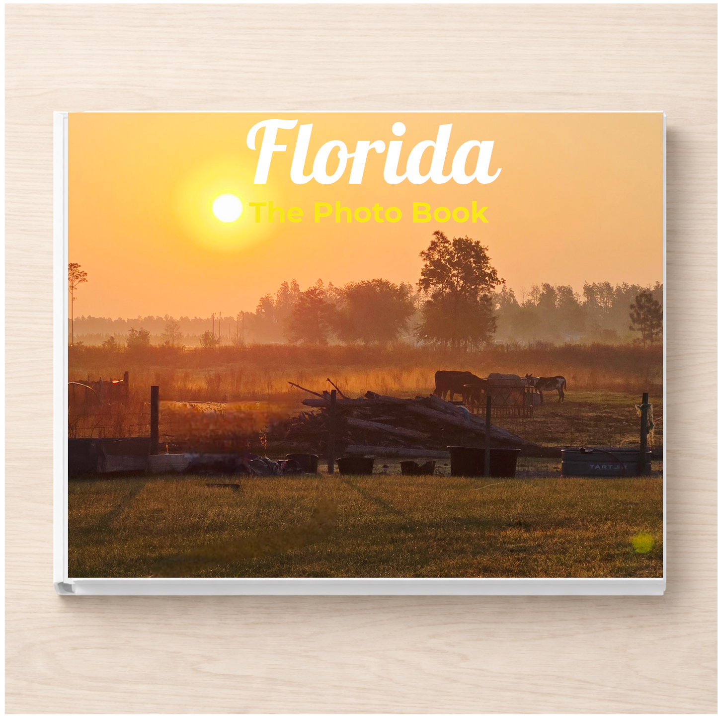 Florida: The Photo Book