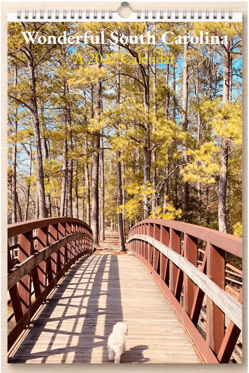 Wonderful South Carolina: A 2027 Calendar