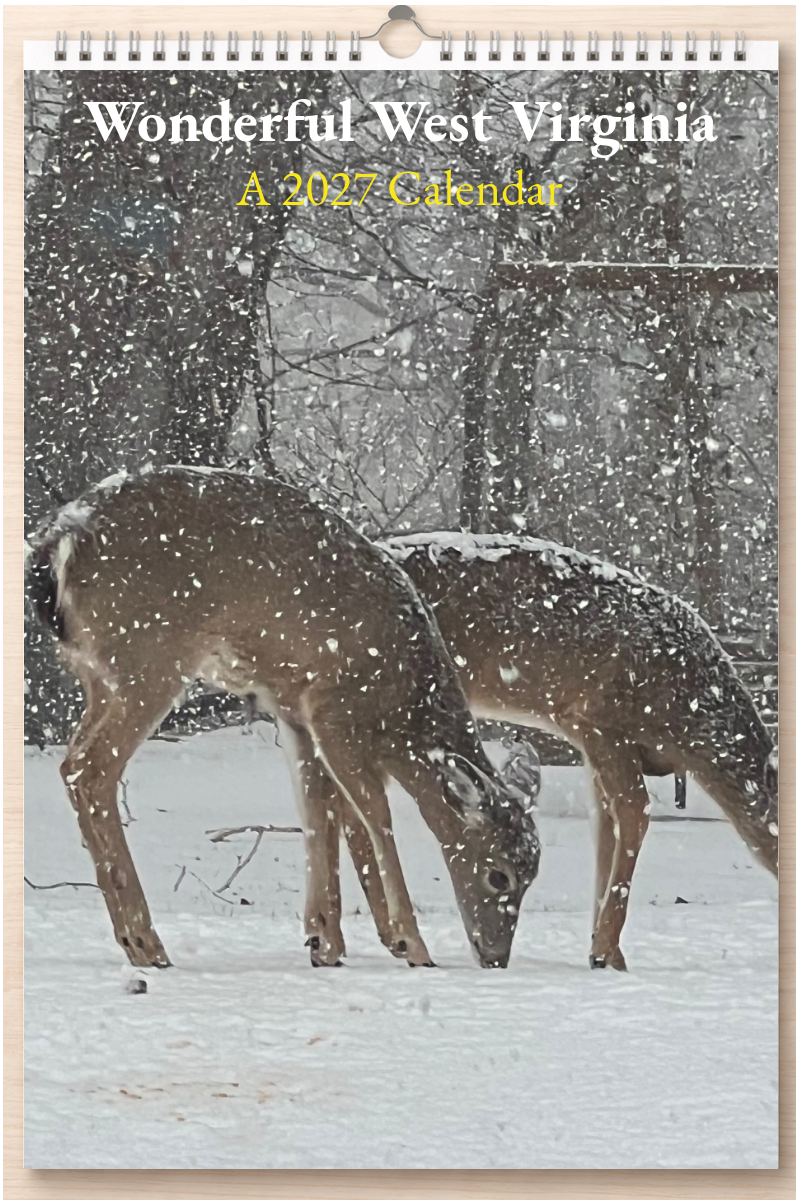 Wonderful West Virginia: A 2027 Calendar