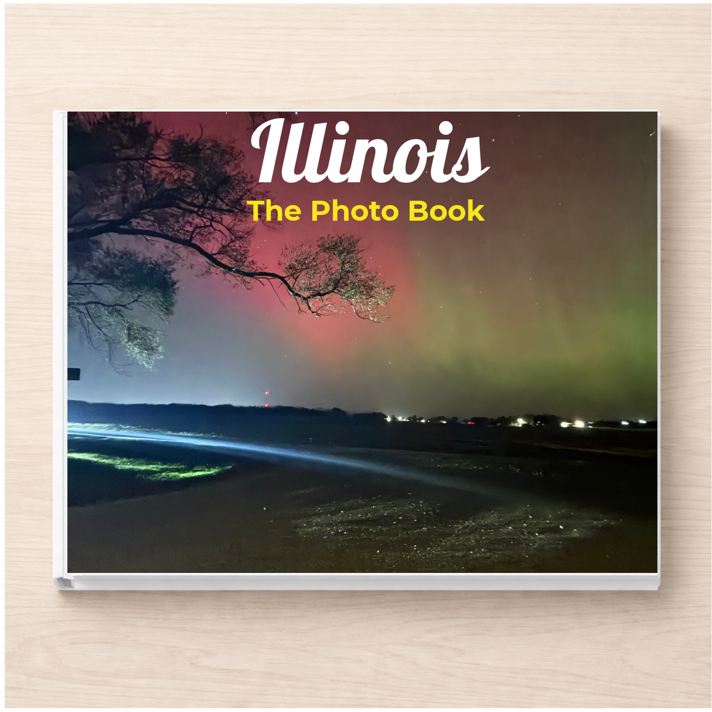 Illinois: The Photo Book