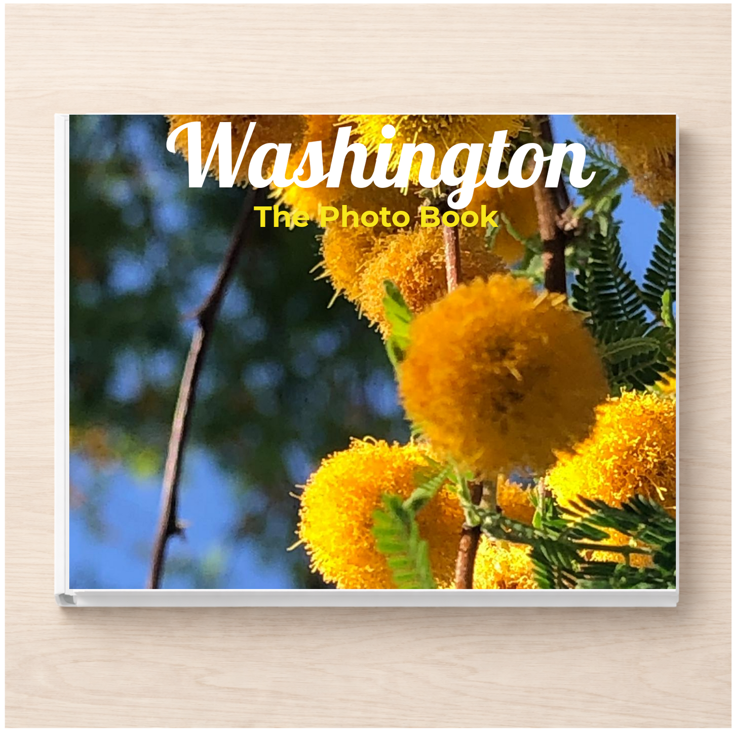 Washington: The Photo Book
