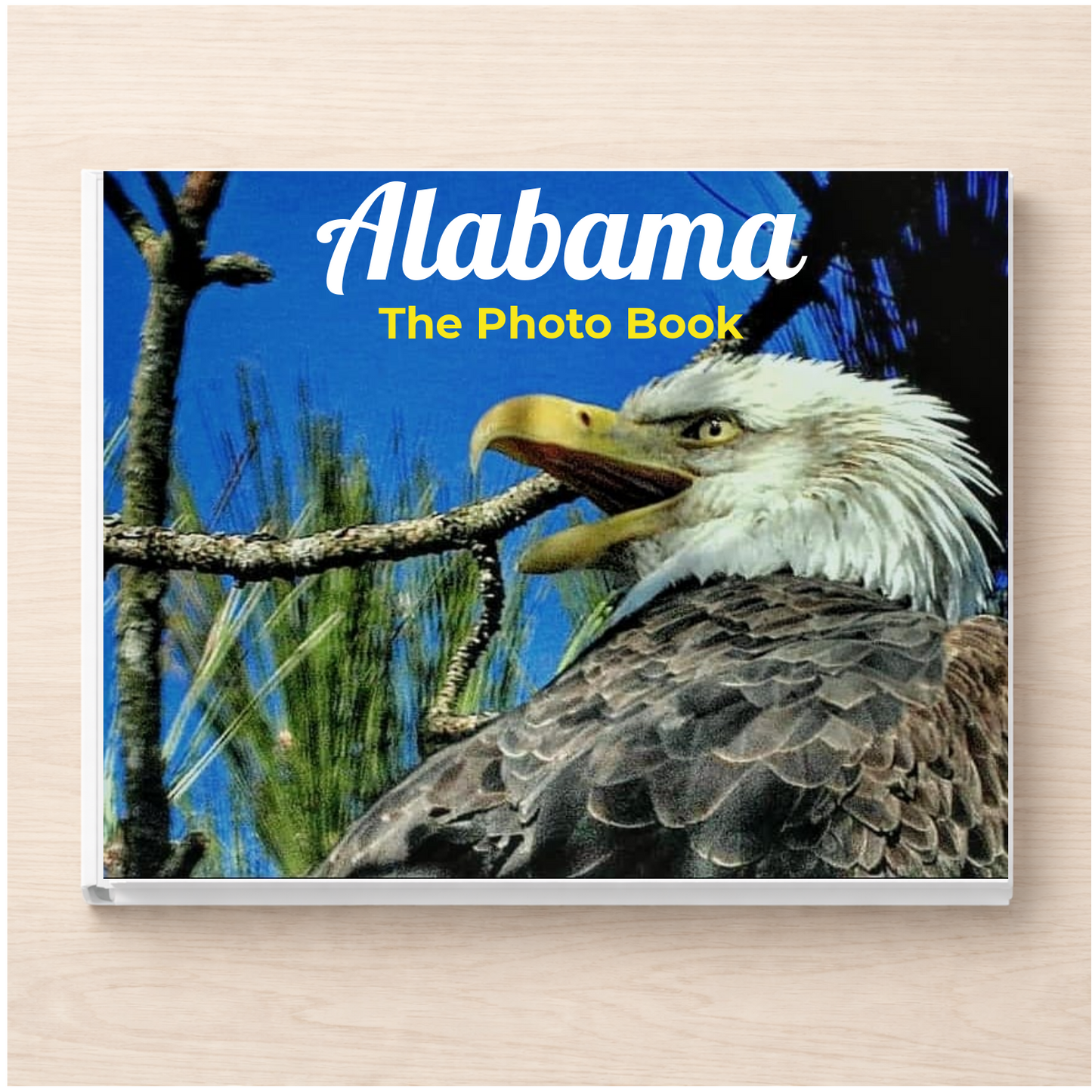 Alabama: The Photo Book