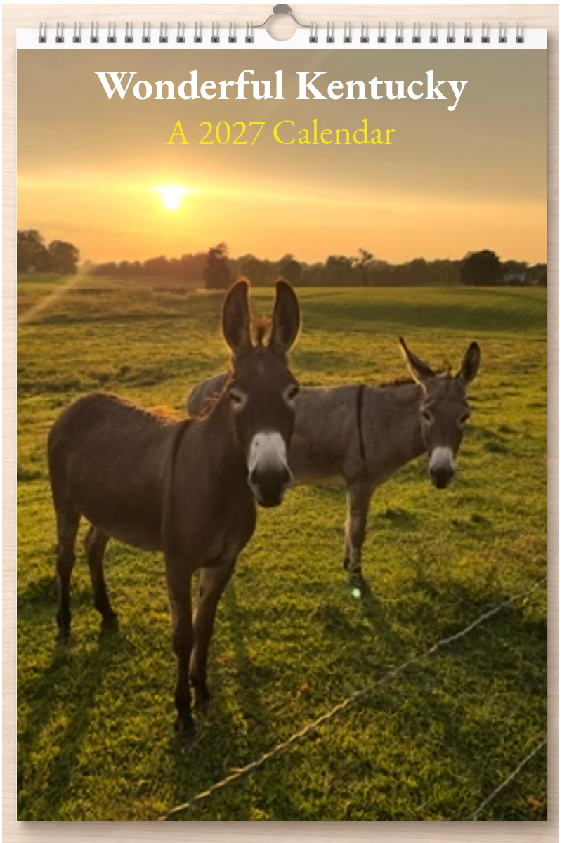 Wonderful Kentucky: A 2027 Calendar