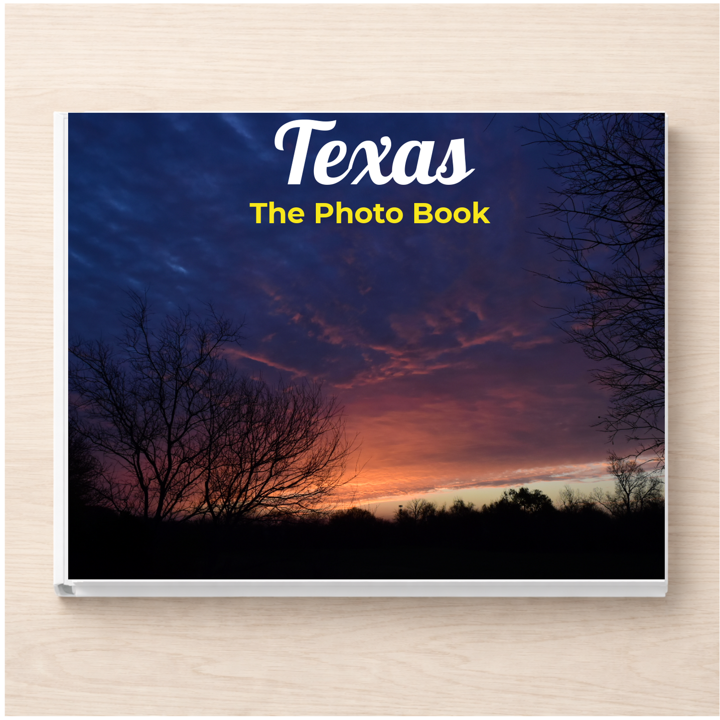 Texas: The Photo Book