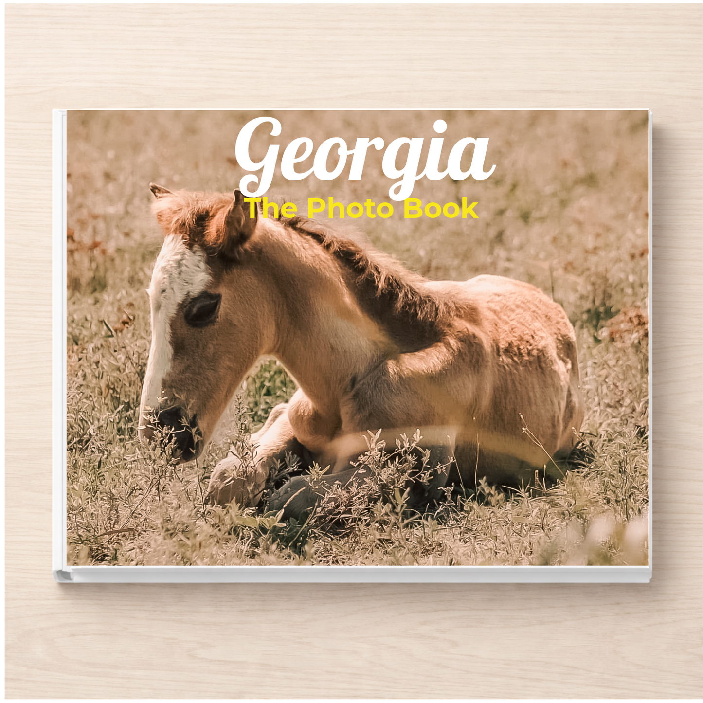 Georgia: The Photo Book