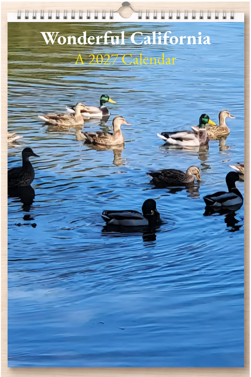 Wonderful California: A 2027 Calendar