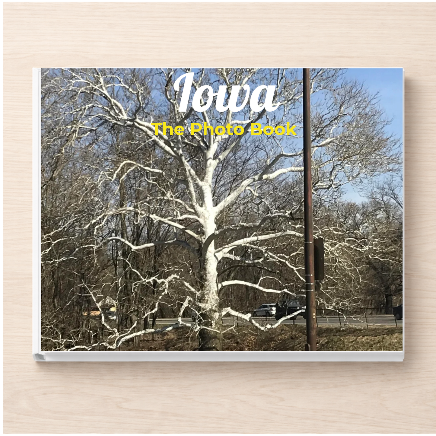 Iowa: The Photo Book