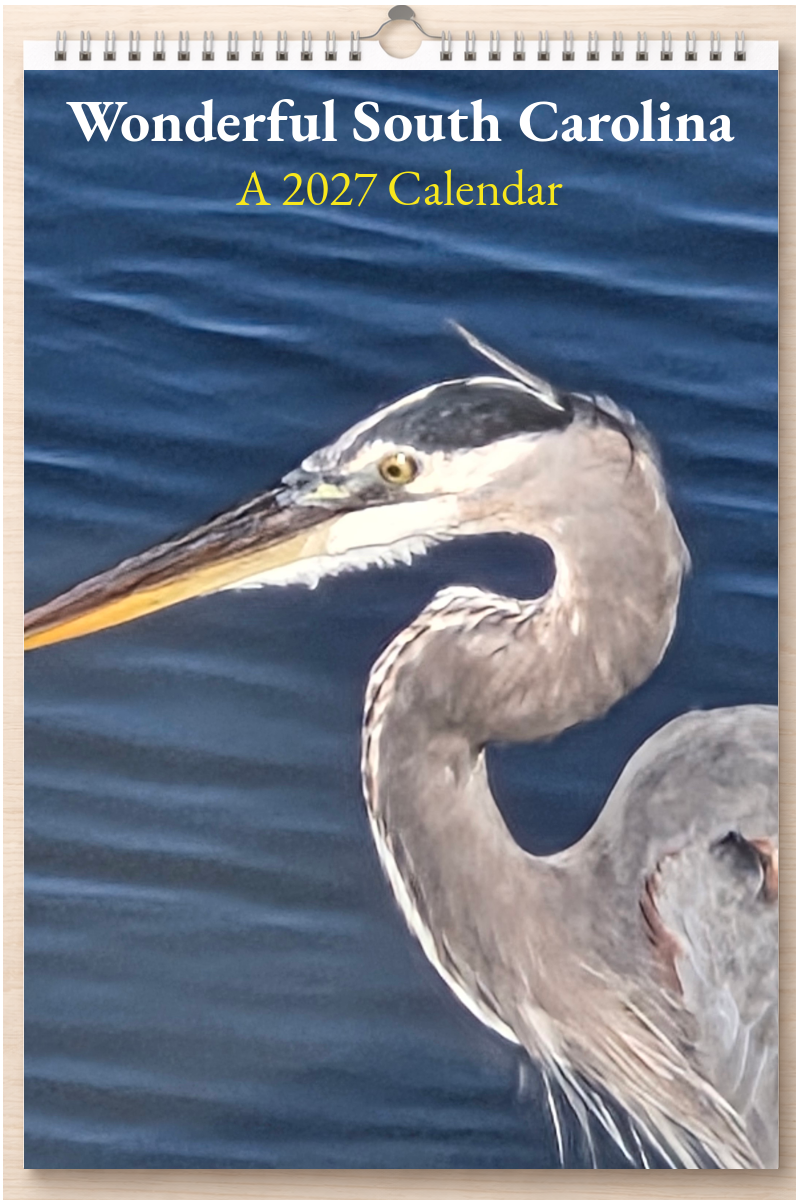 Wonderful South Carolina: A 2027 Calendar