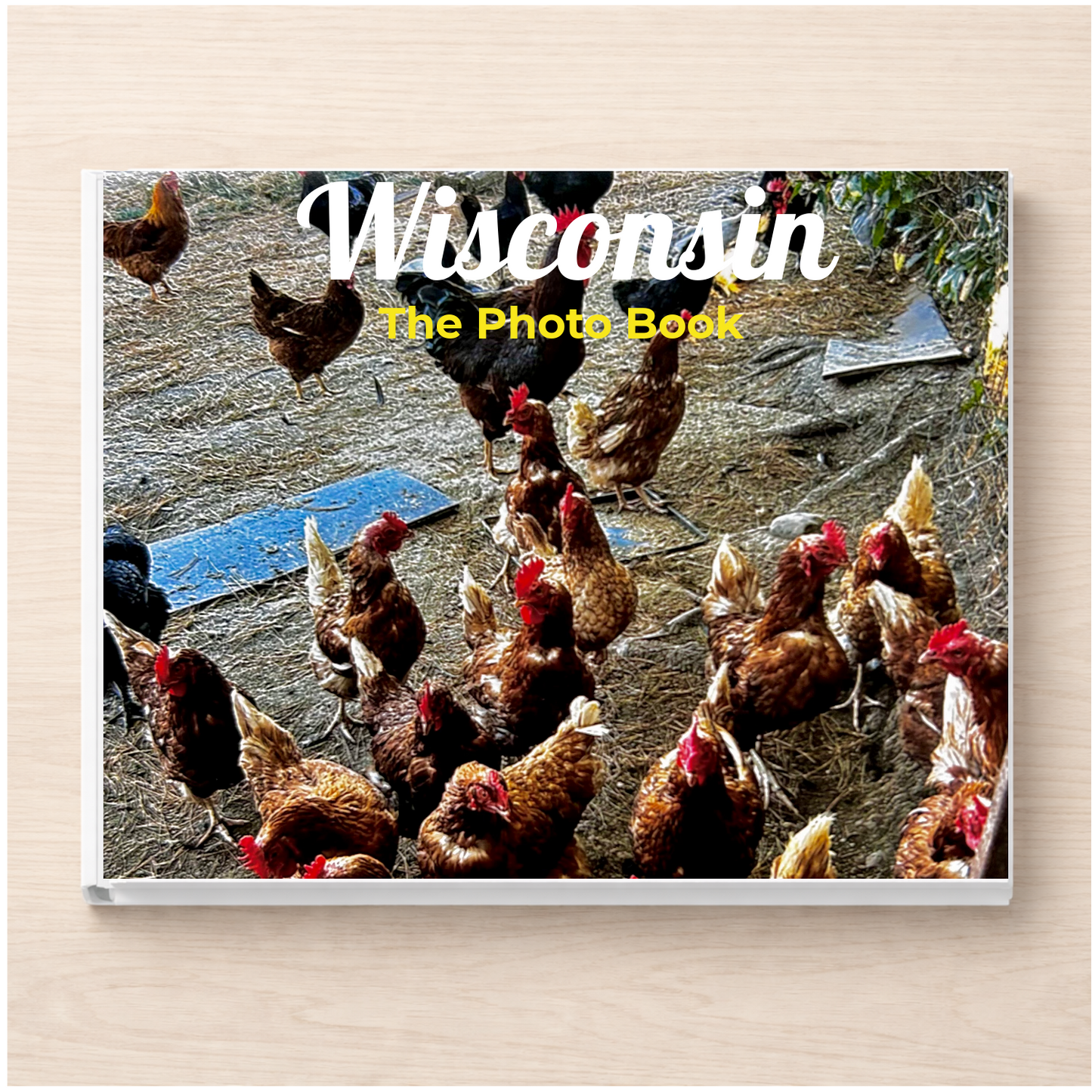 Wisconsin: The Photo Book