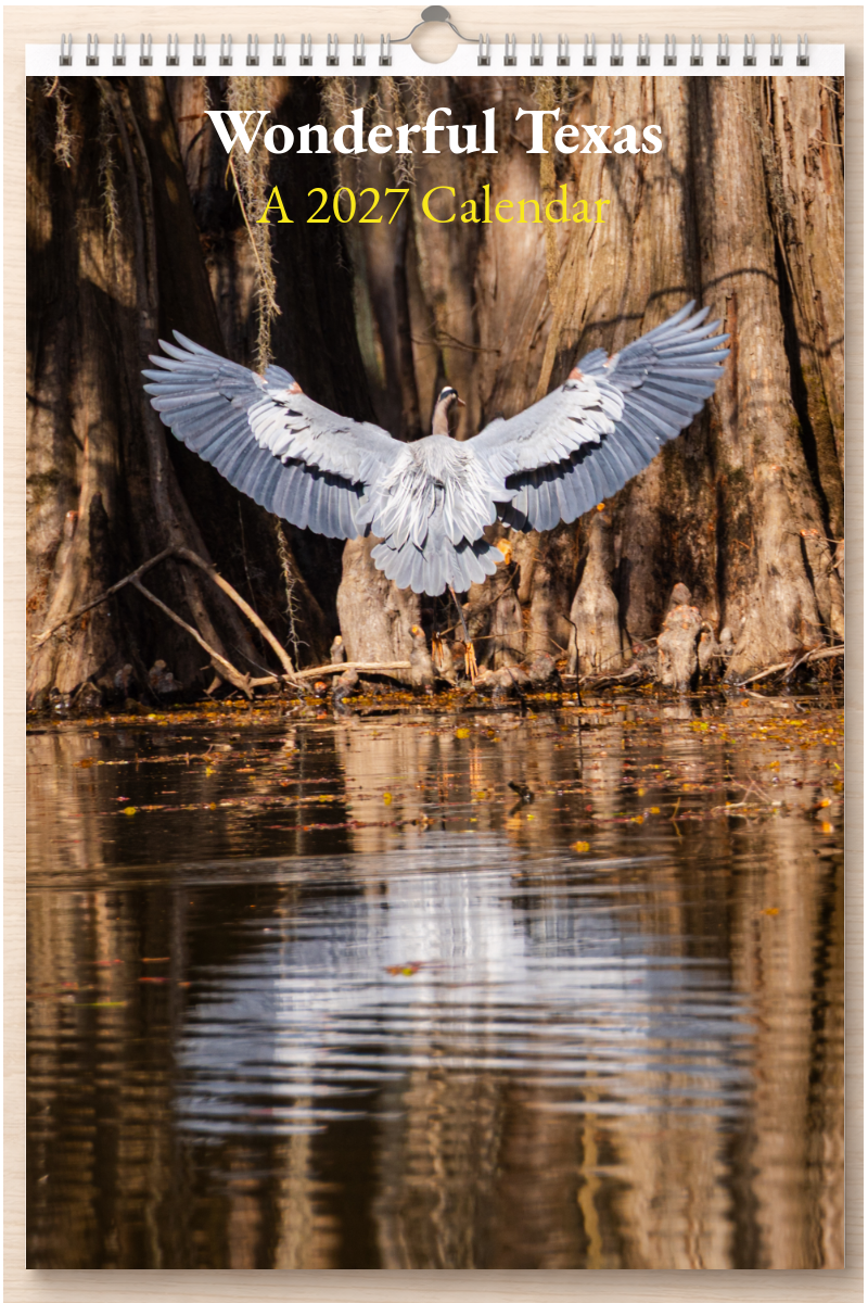 Wonderful Texas: A 2027 Calendar