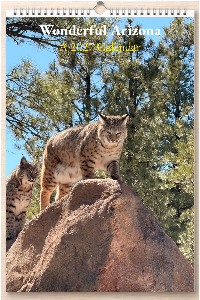 Wonderful Arizona: A 2027 Calendar